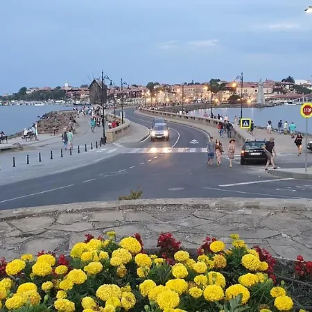 Eli Nesebar